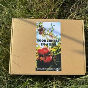 Food Forest in a Box!